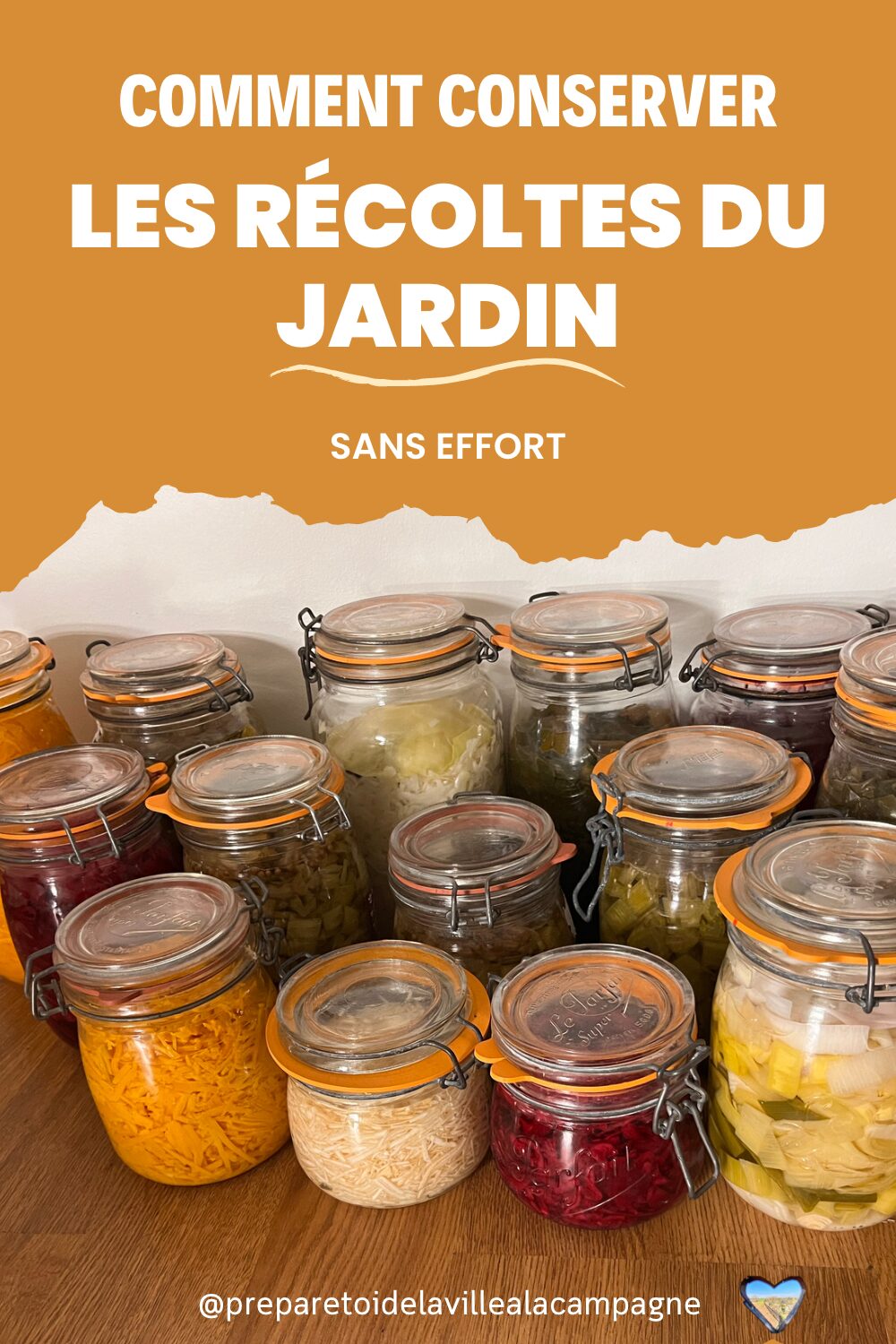 apprendre la lacto fermentation des legumes du jardin de permaculture