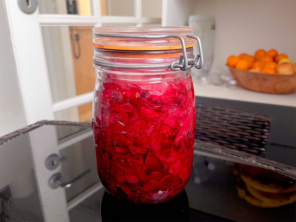 chou rouge en bocaux en verre lacto fermentation