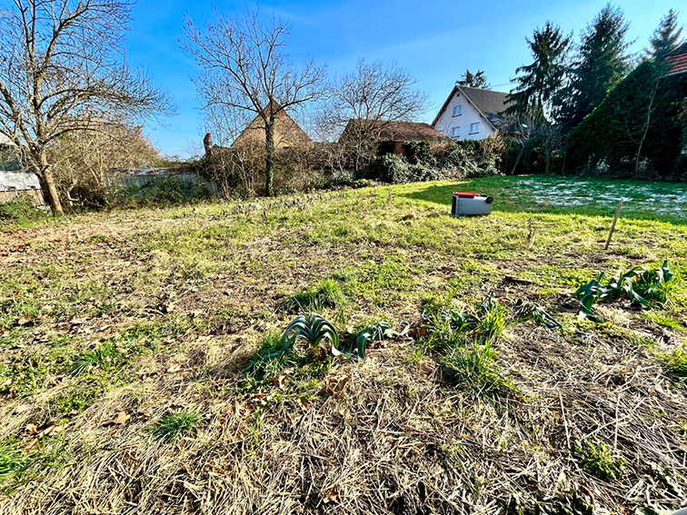 commencer un jardin à la campagne