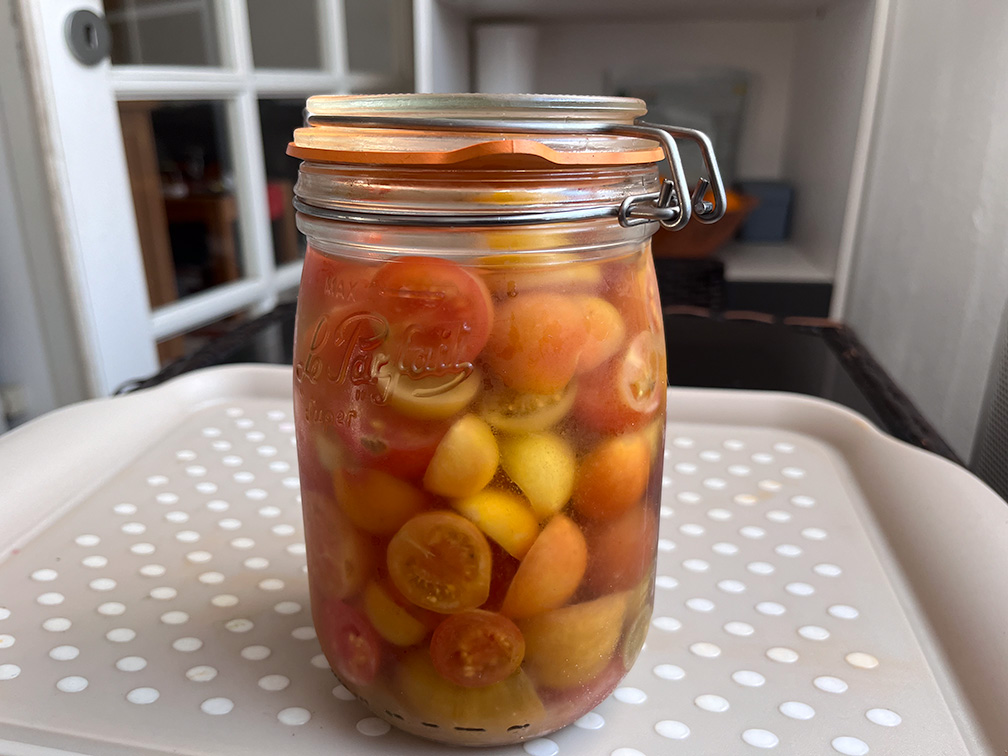 conserves de tomates cerise en lacto-fermentation