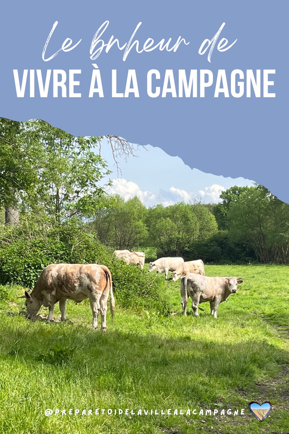 l'art de vivre a la campagne