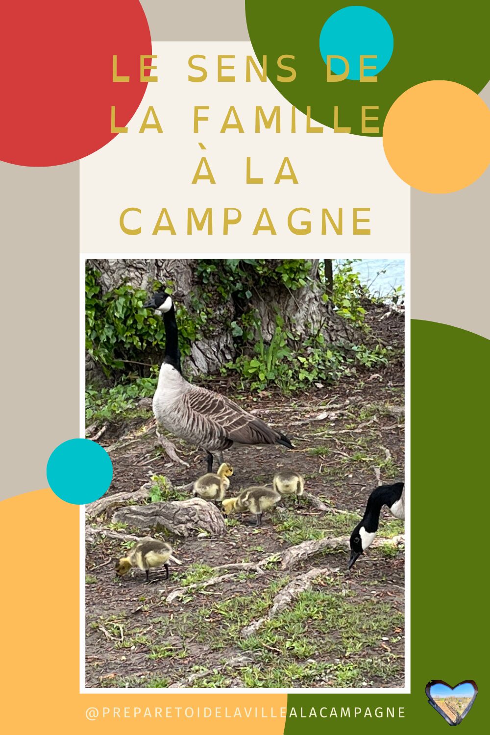 le sens de la famille à la campagne