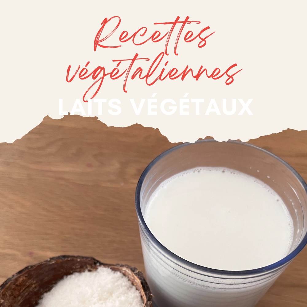 recettes faciles et rapides de laits vegetaux