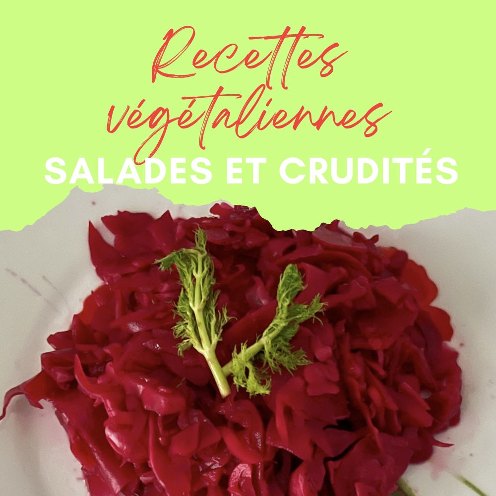 recettes faciles et rapides de salades et crudites