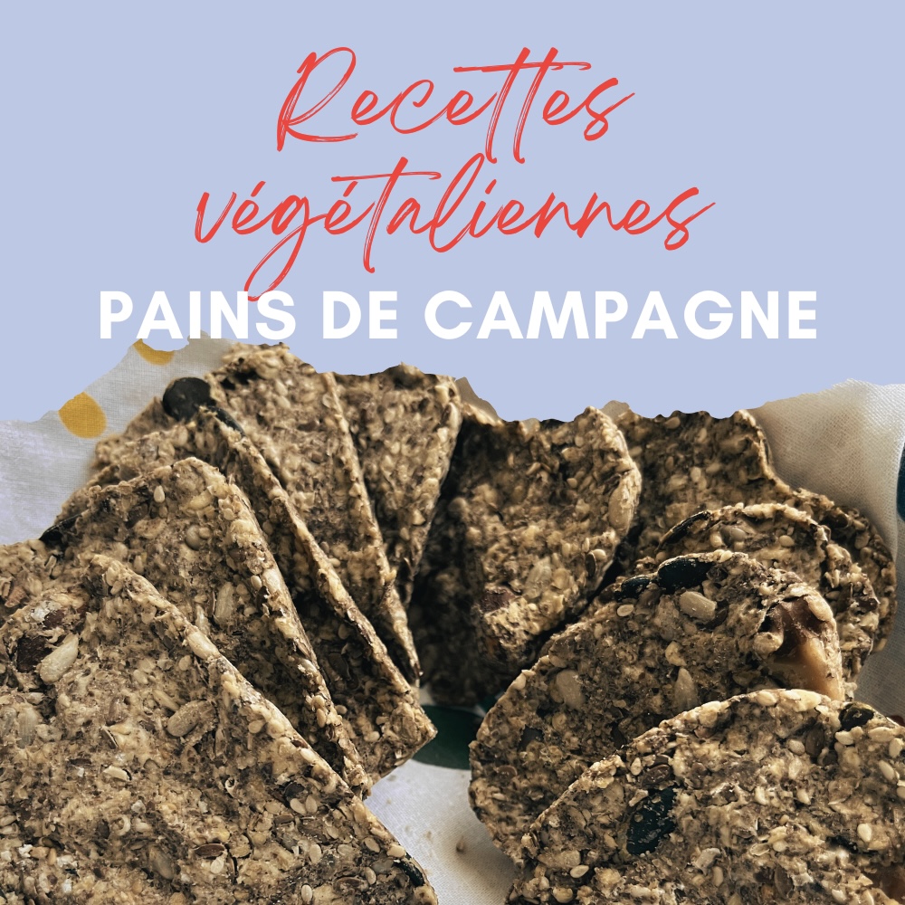 recettes rapides et faciles du pain de campagne