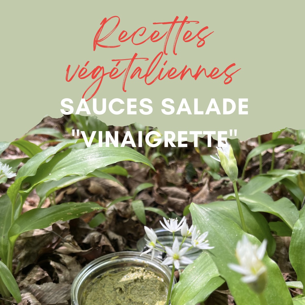 recettes vegetaliennes de sauces salades et vinaigrettes